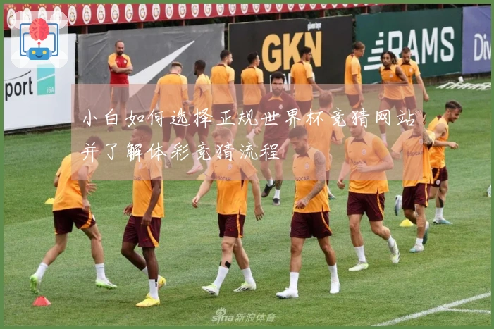小白如何选择正规世界杯竞猜网站并了解体彩竞猜流程