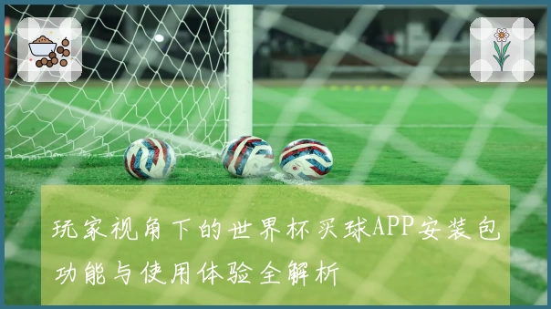玩家视角下的世界杯买球APP安装包功能与使用体验全解析
