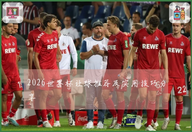 2026世界杯让球推荐及实用技巧分享