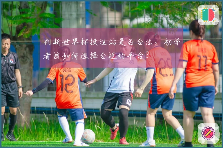 判断世界杯投注站是否合法，初学者该如何选择合适的平台？