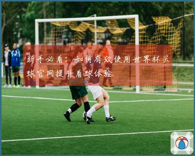 新手必看：如何有效使用世界杯买球官网提升看球体验