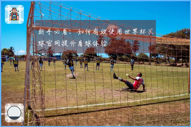 新手必看：如何有效使用世界杯买球官网提升看球体验