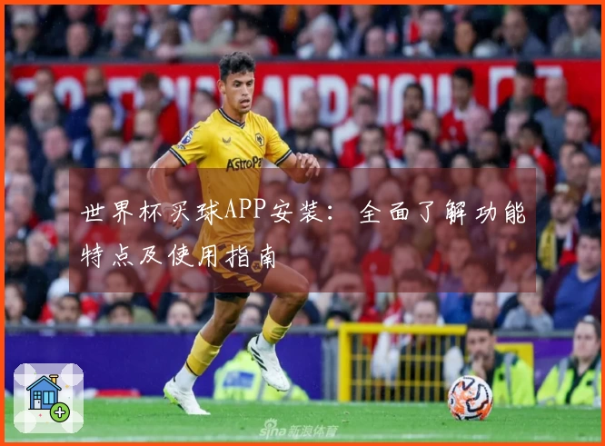 世界杯买球APP安装:全面了解功能特点及使用指南