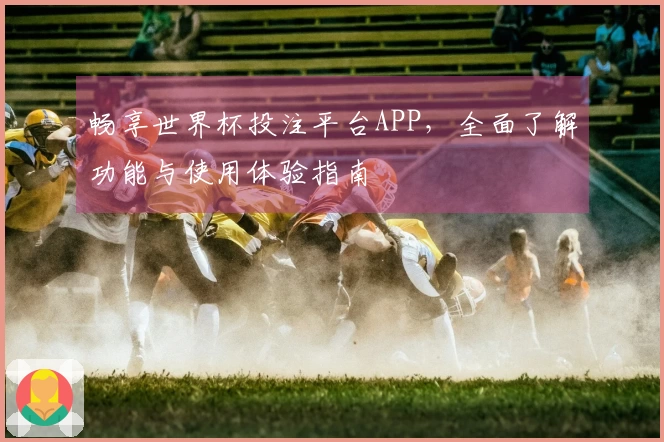 畅享世界杯投注平台APP,全面了解功能与使用体验指南