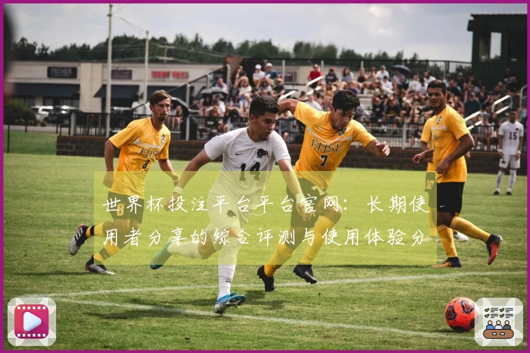 世界杯投注平台平台官网:长期使用者分享的综合评测与使用体验分析