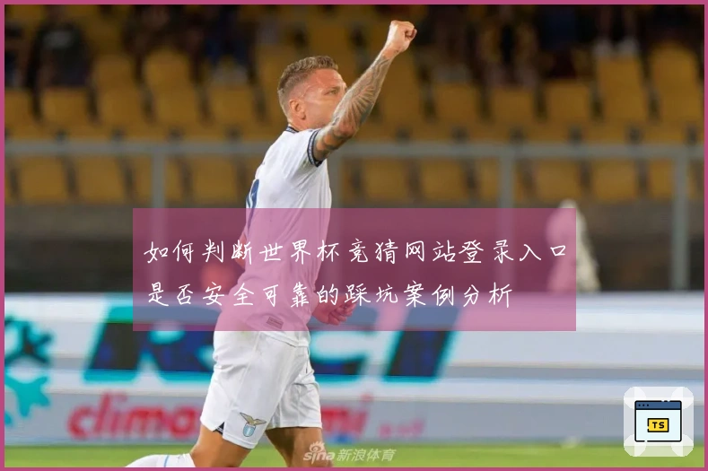 如何判断世界杯竞猜网站登录入口是否安全可靠的踩坑案例分析