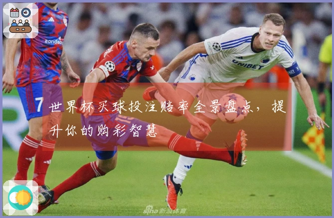 世界杯买球投注赔率全景盘点，提升你的购彩智慧