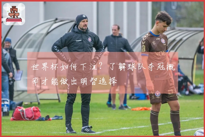 世界杯如何下注？了解球队夺冠概率才能做出明智选择