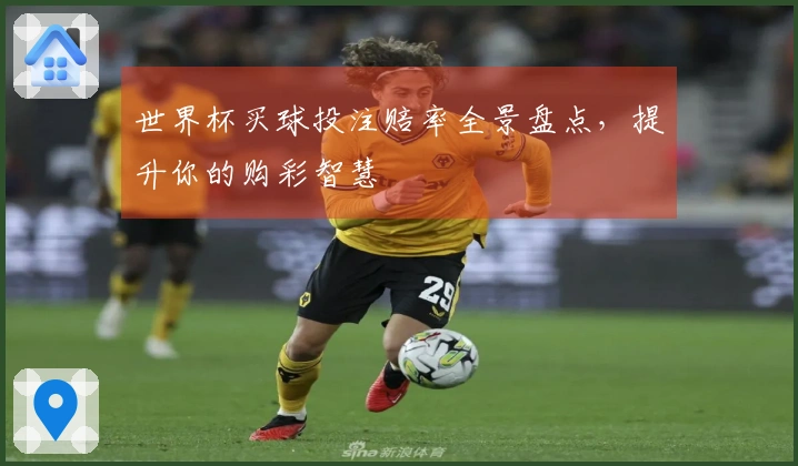 世界杯买球投注赔率全景盘点,提升你的购彩智慧