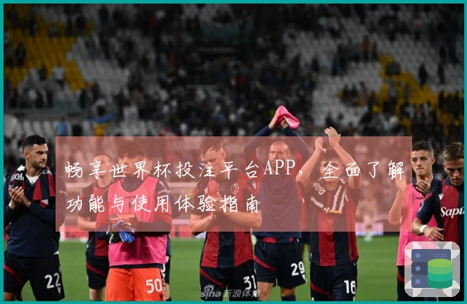畅享世界杯投注平台APP，全面了解功能与使用体验指南
